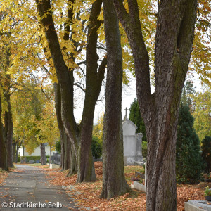 Kastanienallee