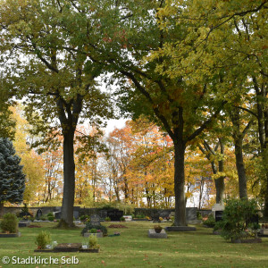 Friedhof